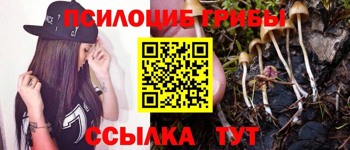 Галлюциногенные грибы GOLDEN TEACHER  Псилоцибиновые грибы ЛСД  Лиски  Вход с VPN 